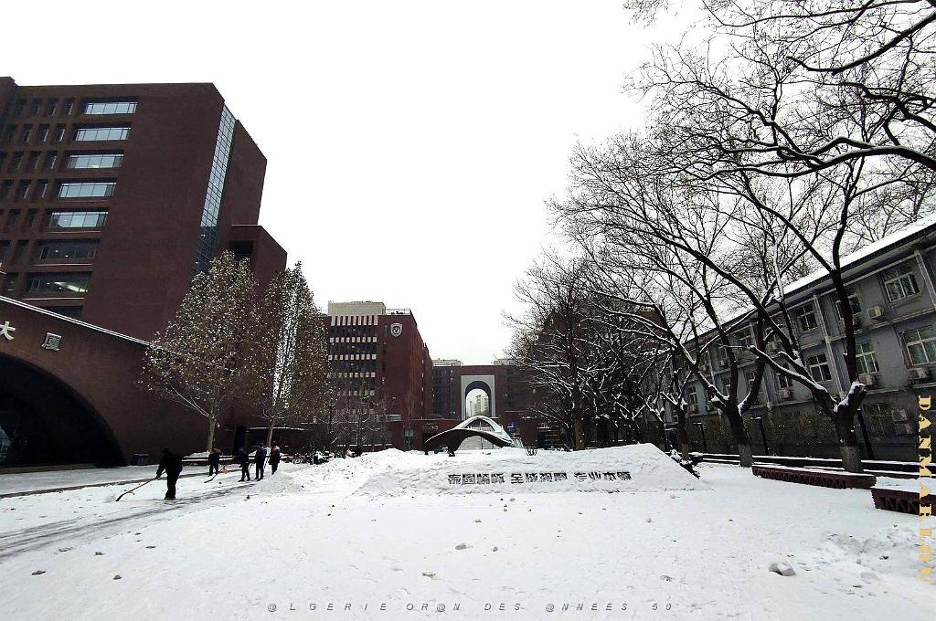2023 12 PEKIN- UNIVERSITE LANGUES ETRANGERES SOUS LA NEIGE (16).jpg